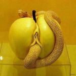 змей-искуситель