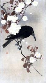 Воронец 14.04