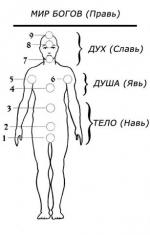 Что такое чакры для Славян