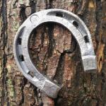 Домашний оберег и талисман – подкова