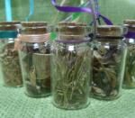 Обереги из растительного мира