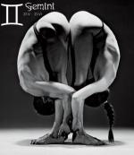 Знак зодиака Близнецы