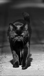 Приметы магия