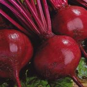 1 сентября - Фекла Свекольница