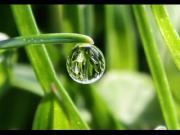 25 июля - Прокл Плакальщик