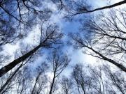 27 августа - Михей Тиховей