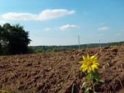 5 марта - Праздник Спента Армаити, День Катыша