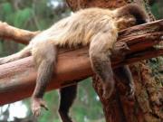 Борьба со своим внутренним прокрастинатором