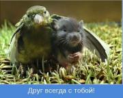 Друг всегда с тобой