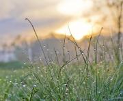 Славянский праздник Грудие Росное 20.05