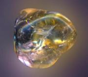 История талисманов