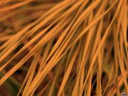 Магические привороты