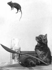 Магия как наказать обидчика