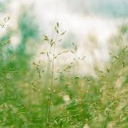 Магия природы