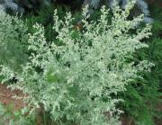 Обереги для дома