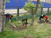 День посадки деревьев в Китае