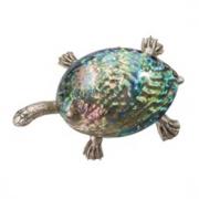 Талисман черепаха