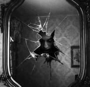 Тайны зеркала