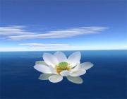 Ведическая магия