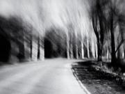 Жуткая дорога в никуда