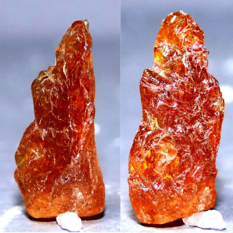 клиногумит порода