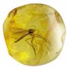 Янтарь с насекомым